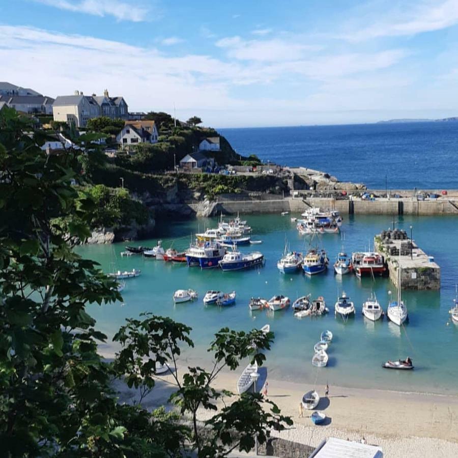 Tregella Guest House New Quay Esterno foto